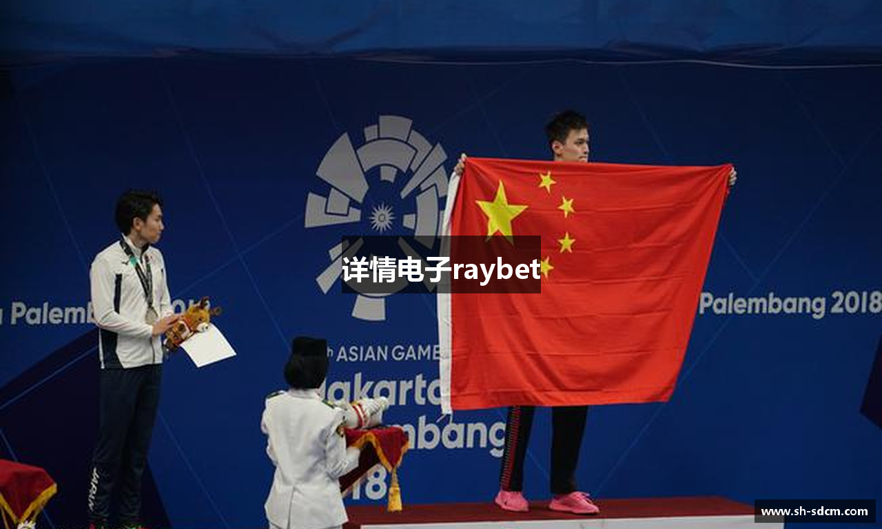 详情电子raybet