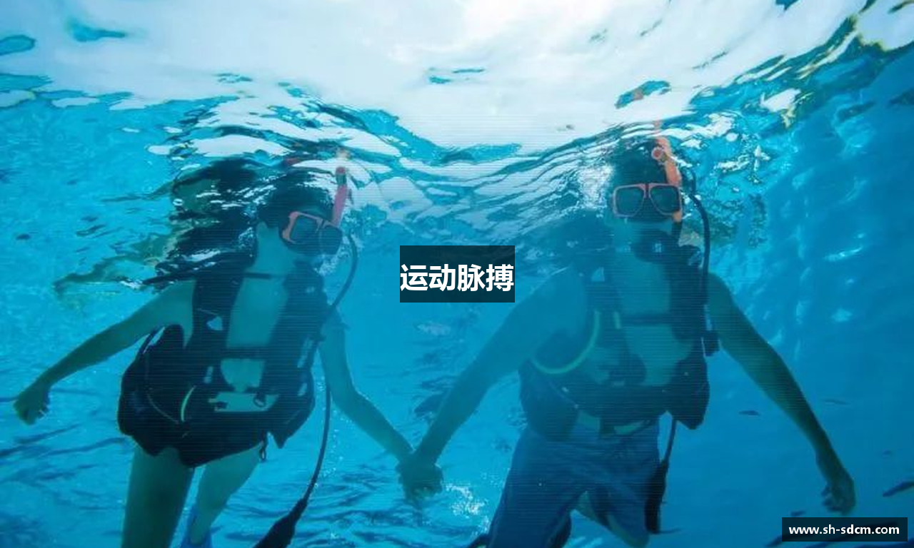 运动脉搏